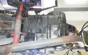 HONDA APE 50 2021 AC16