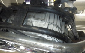 YAMAHA VIRAGO 250 2021 3DM