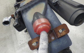 YAMAHA TW225 2023 DG09J