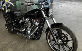 HARLEY  HARLEY FXBRS 2021 YHK
