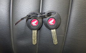 HONDA MONKEY 125 ABS 2024 JB02