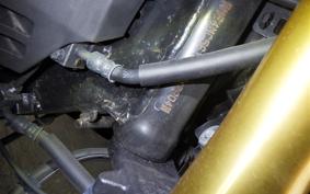HONDA HORNET2.0