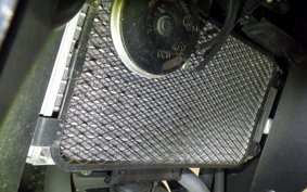 SUZUKI GSX250RA
