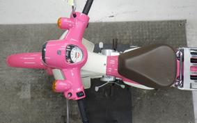 HONDA C50 SUPER CUB 2009 AA09