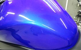 SUZUKI GSX250RA 2015