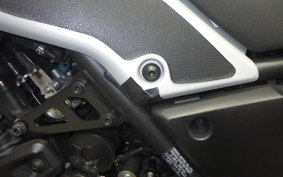 YAMAHA TENERE 700 2020 DM09J