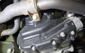 YAMAHA MAXAM 250 2024 SG21J