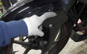 KAWASAKI NINJA 250R 2022 EX250K