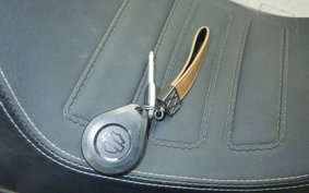 HARLEY FXFBS1870 2019