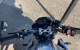 TRIUMPH  TRIUMPH  STREET  TRIPLE RS 2024 HDA614