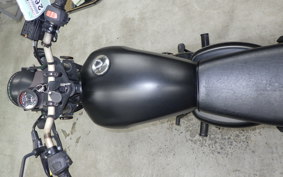 OTHER +MUTTｻﾊﾞｽ250 2023