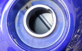 HONDA VTR 250 2025 MC33