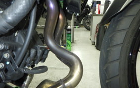 KAWASAKI Z250 Gen.2 2025 EX250Y
