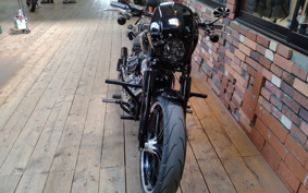 HARLEY FXBRS 2021 YHK
