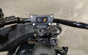 HARLEY  HARLEY FXLRST1920 YXZ