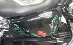 OTHER +HD. XL1200C-I 2018