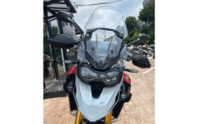TRIUMPH TIGER 900 RALLY PRO 2025 TRC83D