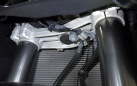 KAWASAKI NINJA 1000 SX 2021 ZXT02K