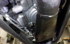 YAMAHA FZR250 R 3LN