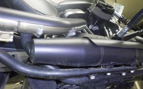 HARLEY XL883N 2019