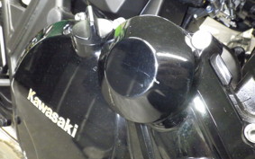 KAWASAKI ZRX1200 D 2017 ZRT20D