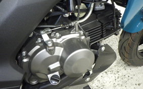 KAWASAKI Z125 PRO 2021 BR125H