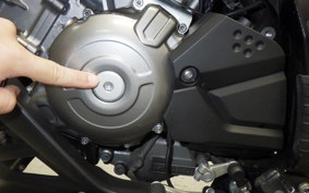 SUZUKI DL650 ( V-Strom 650 ) XTA 2025 C733M
