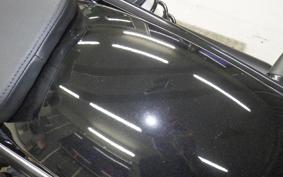 HARLEY RH975 2022