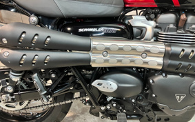 TRIUMPH SCRAMBLER 2022 DAD78G