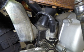HONDA MONKEY 2000 Z50J