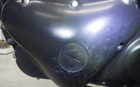 KAWASAKI 250TR 2024 BJ250F