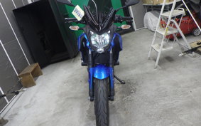 KAWASAKI Z250 SL 2009 BR250E