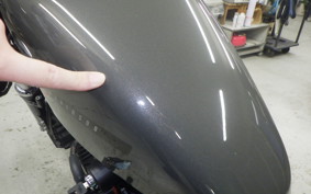 HARLEY XL1200X 2019