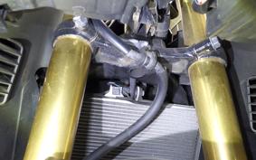 HONDA CBR250RR 2001 MC51