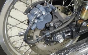 KAWASAKI W800 2021 EJ800B