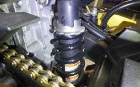 KAWASAKI NINJA 250 EX250P