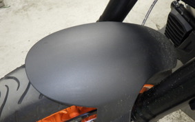 INDIAN FTR1200 2025