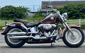 HARLEY FLSTF 105th 2007 BX5