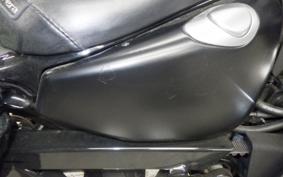 HARLEY XL883N 2010