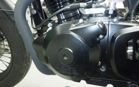 OTHER +ﾏｯﾄﾓｰﾀｰｻｲｸﾙ250 2008