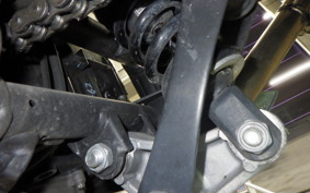 KAWASAKI NINJA 250 EX250L