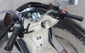 YAMAHA MAXAM 250 SG21J