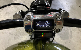 HARLEY FXBRS 2022 YHK