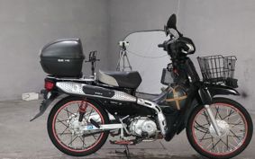 HONDA SUPER CUB110 JA10