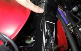 OTHER +ENFIELD ｽｸﾗﾑ411 2024