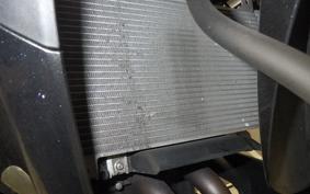 KAWASAKI NINJA 250 2021