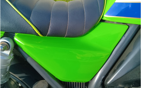 KAWASAKI ZRX400 1999 ZR400E