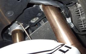 SUZUKI GSX-R1000 2008