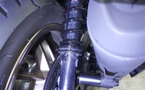 HONDA FORZA 250 MF17