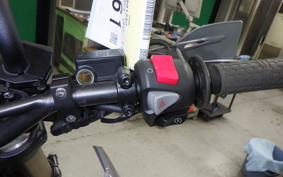 HONDA CRF250L 2025 MD47